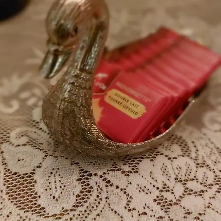 Oda ve Kahvaltı In Lace *